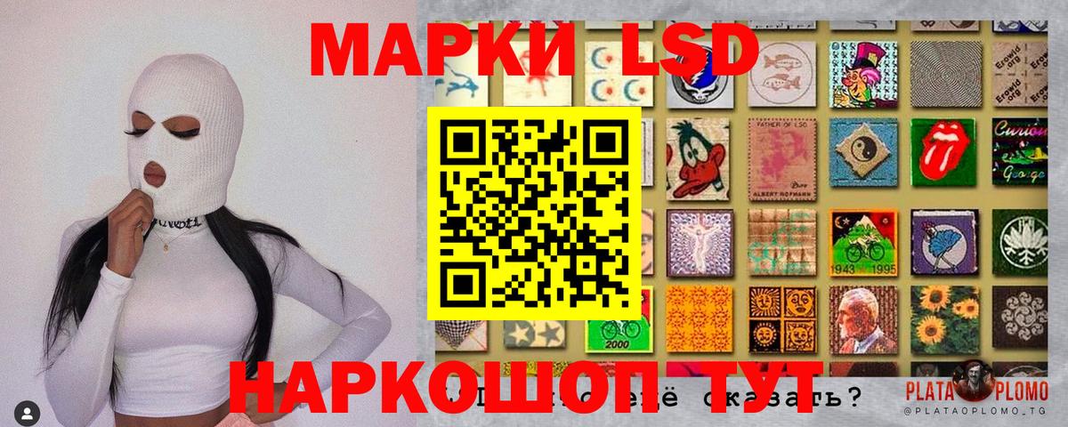 Марки N-bome 1500мкг  Вход с VPN  где продают   Марки N-bome 1500мкг  Удомля 