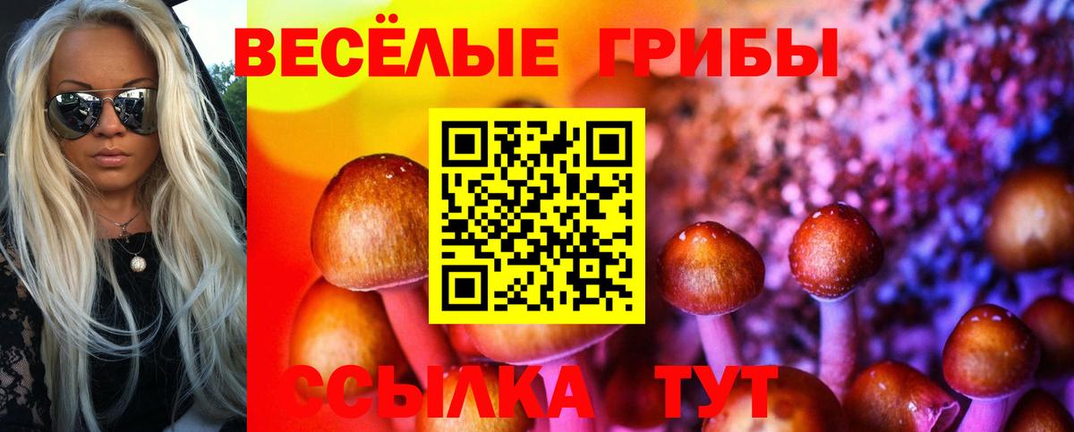 Удомля  Галлюциногенные грибы Psilocybe  Вход с VPN  Псилоцибиновые грибы мицелий 